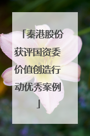 秦港股份获评国资委价值创造行动优秀案例