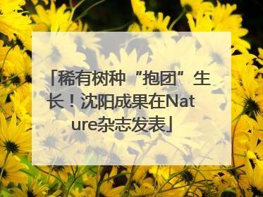稀有树种“抱团”生长！沈阳成果在Nature杂志发表