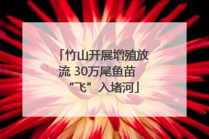 竹山开展增殖放流 30万尾鱼苗“飞”入堵河