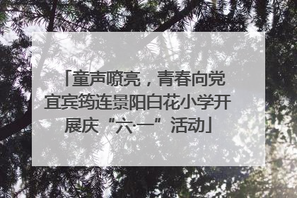 童声嘹亮，青春向党 宜宾筠连景阳白花小学开展庆“六·一”活动