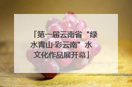 第一届云南省“绿水青山·彩云南”水文化作品展开幕