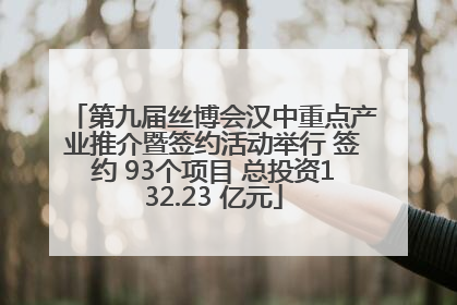 第九届丝博会汉中重点产业推介暨签约活动举行 签约 93个项目 总投资132.23 亿元