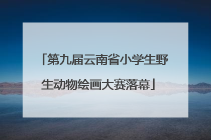 第九届云南省小学生野生动物绘画大赛落幕