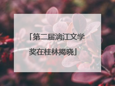第二届漓江文学奖在桂林揭晓