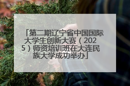 第二期辽宁省中国国际大学生创新大赛（2025）师资培训班在大连民族大学成功举办