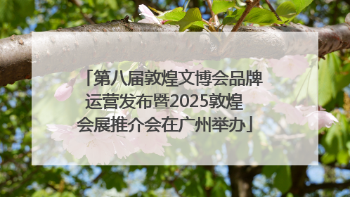 第八届敦煌文博会品牌运营发布暨2025敦煌会展推介会在广州举办