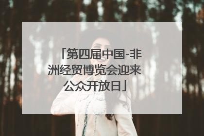 第四届中国-非洲经贸博览会迎来公众开放日