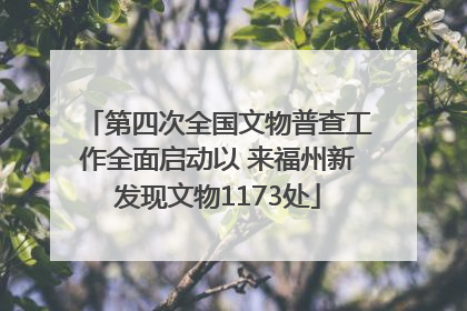 第四次全国文物普查工作全面启动以 来福州新发现文物1173处