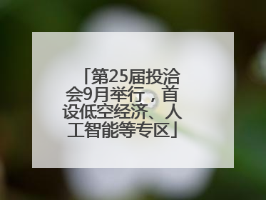 第25届投洽会9月举行，首设低空经济、人工智能等专区