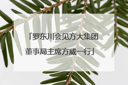 罗东川会见方大集团董事局主席方威一行
