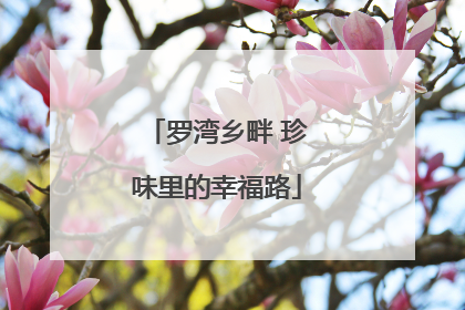 罗湾乡畔 珍味里的幸福路