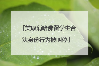 美取消哈佛留学生合法身份行为被叫停
