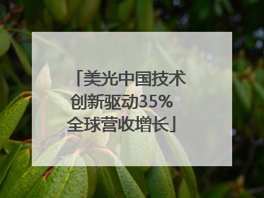 美光中国技术创新驱动35%全球营收增长