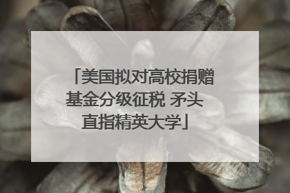 美国拟对高校捐赠基金分级征税 矛头直指精英大学