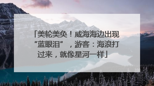 美轮美奂！威海海边出现“蓝眼泪”，游客：海浪打过来，就像星河一样