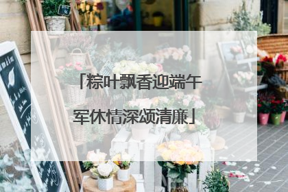 粽叶飘香迎端午 军休情深颂清廉