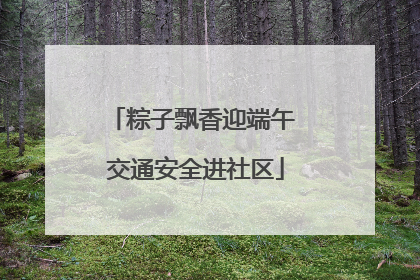 粽子飘香迎端午 交通安全进社区