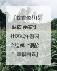 粽香盈巷传温情 余家头社区端午游园会绘就“银龄”幸福画卷