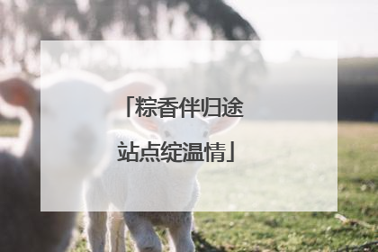 粽香伴归途 站点绽温情