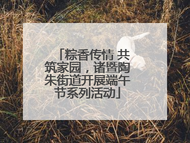 粽香传情 共筑家园，诸暨陶朱街道开展端午节系列活动