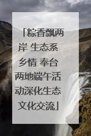粽香飘两岸 生态系乡情 奉台两地端午活动深化生态文化交流