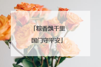 粽香飘千里 国门守平安