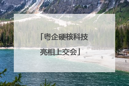 粤企硬核科技亮相上交会
