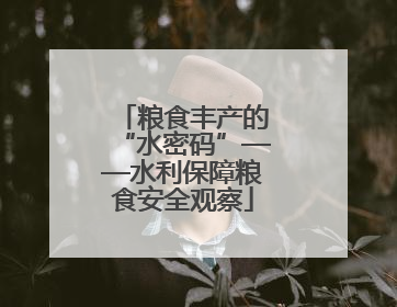 粮食丰产的“水密码”——水利保障粮食安全观察