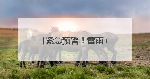 紧急预警！雷雨+11级大风+冰雹，马上就到潍坊！