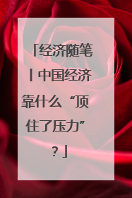 经济随笔丨中国经济靠什么“顶住了压力”？