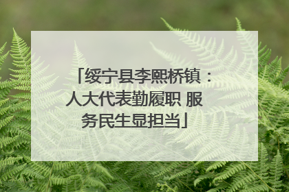 绥宁县李熙桥镇：人大代表勤履职 服务民生显担当