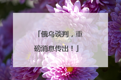 俄乌谈判，重磅消息传出！