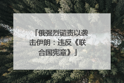 俄强烈谴责以袭击伊朗：违反《联合国宪章》
