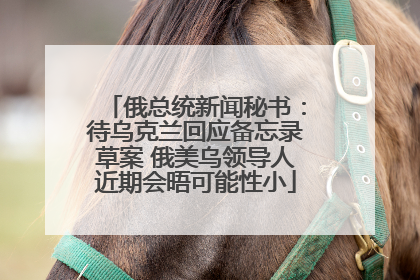 俄总统新闻秘书：待乌克兰回应备忘录草案 俄美乌领导人近期会晤可能性小