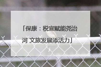 保康：税宣赋能尧治河 文旅发展添活力