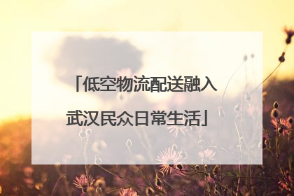 低空物流配送融入武汉民众日常生活