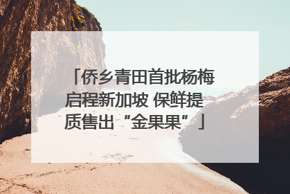 侨乡青田首批杨梅启程新加坡 保鲜提质售出“金果果”