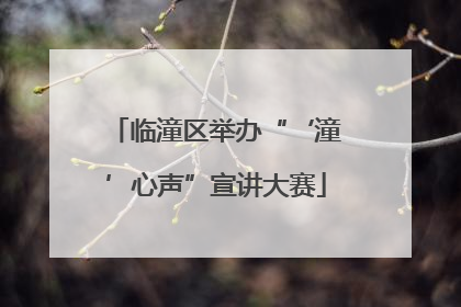临潼区举办“‘潼’心声”宣讲大赛