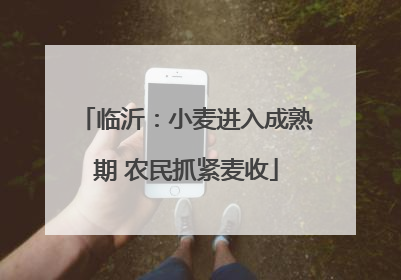 临沂：小麦进入成熟期 农民抓紧麦收