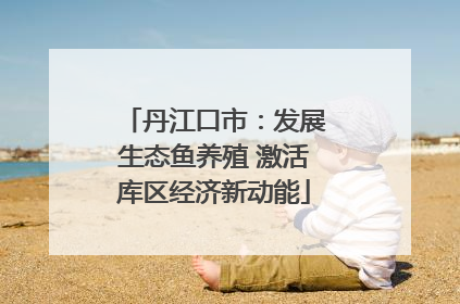 丹江口市：发展生态鱼养殖 激活库区经济新动能