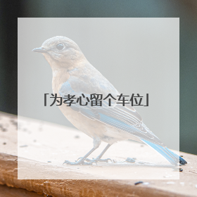为孝心留个车位