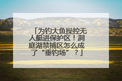 为钓大鱼操控无人艇进保护区！洞庭湖禁捕区怎么成了“垂钓场”？