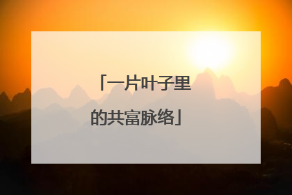 一片叶子里的共富脉络