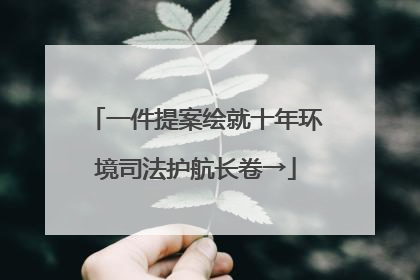 一件提案绘就十年环境司法护航长卷→