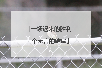 一场迟来的胜利 一个无言的结局