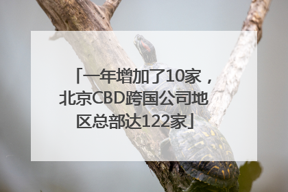 一年增加了10家，北京CBD跨国公司地区总部达122家