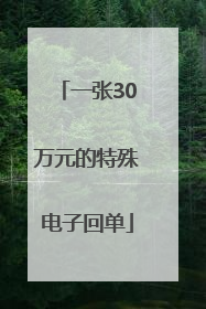 一张30万元的特殊电子回单