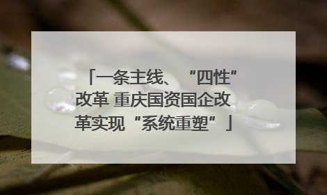 一条主线、“四性”改革 重庆国资国企改革实现“系统重塑”
