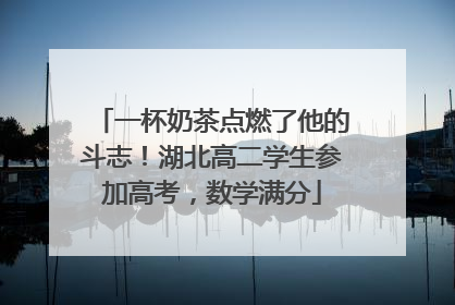 一杯奶茶点燃了他的斗志！湖北高二学生参加高考，数学满分