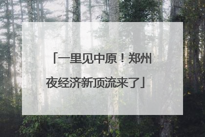 一里见中原！郑州夜经济新顶流来了